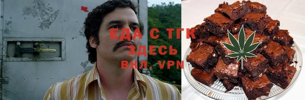 гидра Богородск