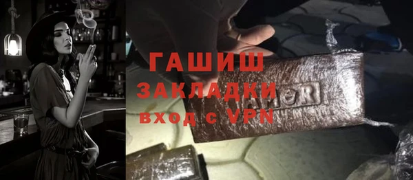 гидра Богородск