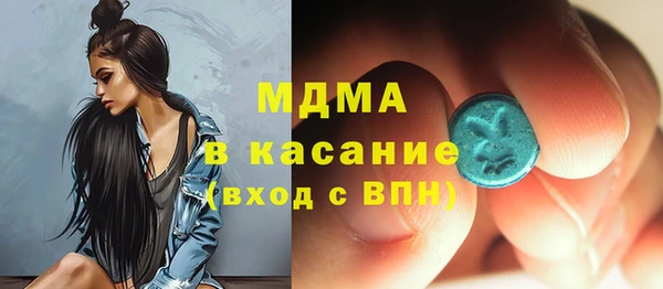 гидра Богородск