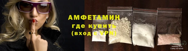 гидра Богородск