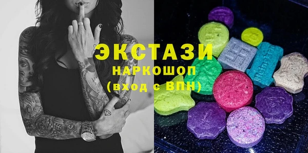 гидра Богородск