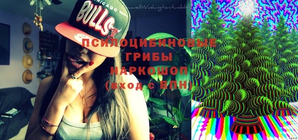гидра Богородск