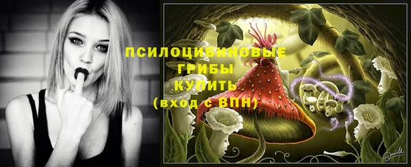не бодяженный Белокуриха